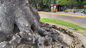 ПУТЕШЕСТВИЕ ПО РОССИИ БЕЗ ДЕНЕГ | ЖИЗНЬ В АВТОДОМЕ