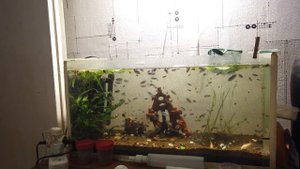 Цемент в аквариуме, проверяем жесткость, спустя месяц