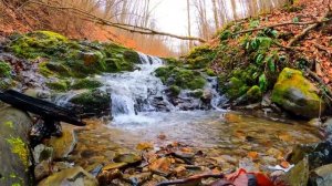 Sweet Piano Melody With Peaceful Forest River Flowing Water Sounds | Calm Music for meditation