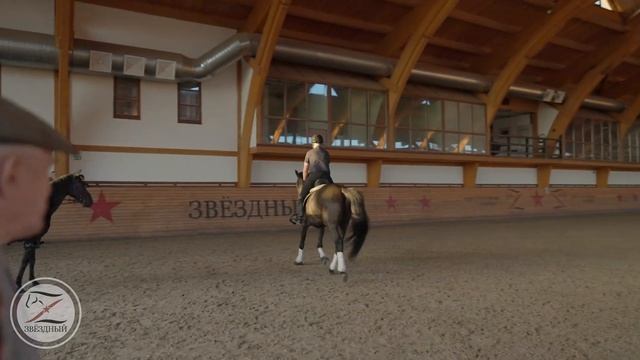 Выездка / Тренировка у В.П.Угрюмова / Начинающий всадник / Езда по схеме / Езда без стремян