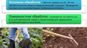 Художественный  труд, 5 класс. Весенние работы в растениеводстве.