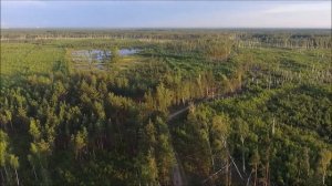 Разведвылет над Пырским озером и окрестностями