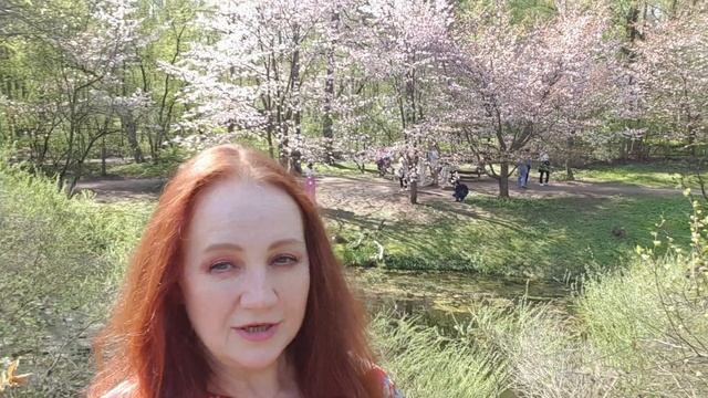 Хочу быть деревом смотреть онлайн