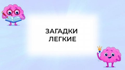 Сборник новых загадок#загадки