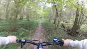 Покатушка на электросамокате по бездорожью (40км)