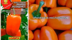 САМЫЕ ВКУСНЫЕ И ТОЛСТОСТЕННЫЕ ПЕРЦЫ ОРАНЖЕВОГО ЦВЕТА