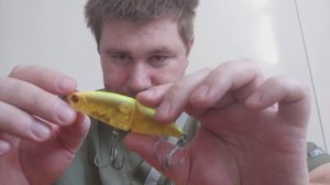 Видеообзор воблера Pontoon 21 Danzante J SSR, специально для Fmagazin.