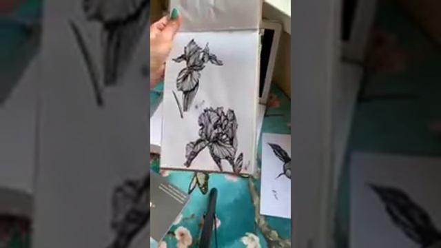 Обучающий урок по графике пером и тушью