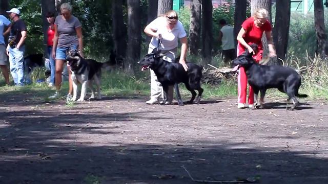 Выставка ПК г.Челябинск 17.08.13