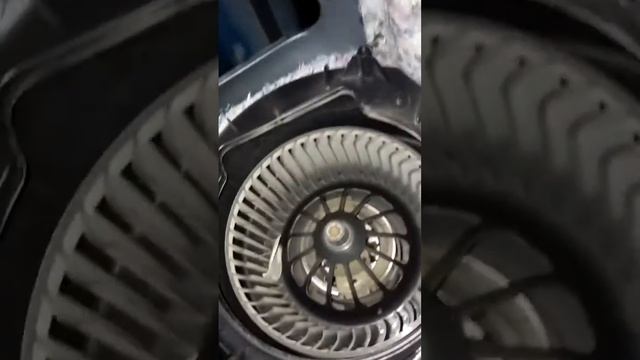 Ford Focus 3 причина жуткой вибрации двигателя печки . смотреть онлайн