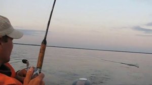 судак,Вороново