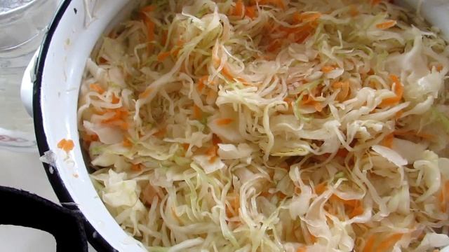 Зелень зимой в Горячем Ключе смотреть онлайн