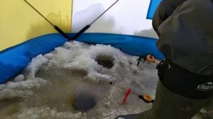 Зимняя рыбалка. Белое море.2 января. Сиг. Корюх. На авто до лунок