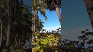 Куба) Варадеро, BARCELO SOLYMAR. Обзор пляжа