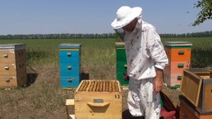 Перестановка гнездовых корпусов местами в многокорпусном улье.Новинки в компании УЛЕЙСИБИРИ.