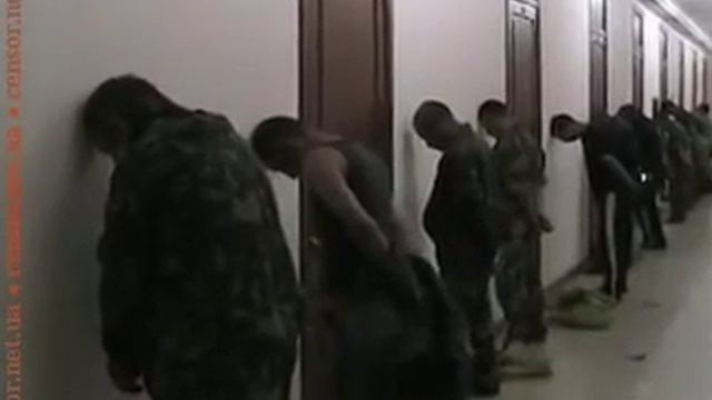 Задержаные в Луганской области казаки смотреть онлайн