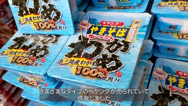 車中泊仕様にDIYしたボンゴで公園車中泊 | Stealth van camping