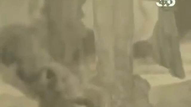 Мифы человечества - Христианство до Христа?