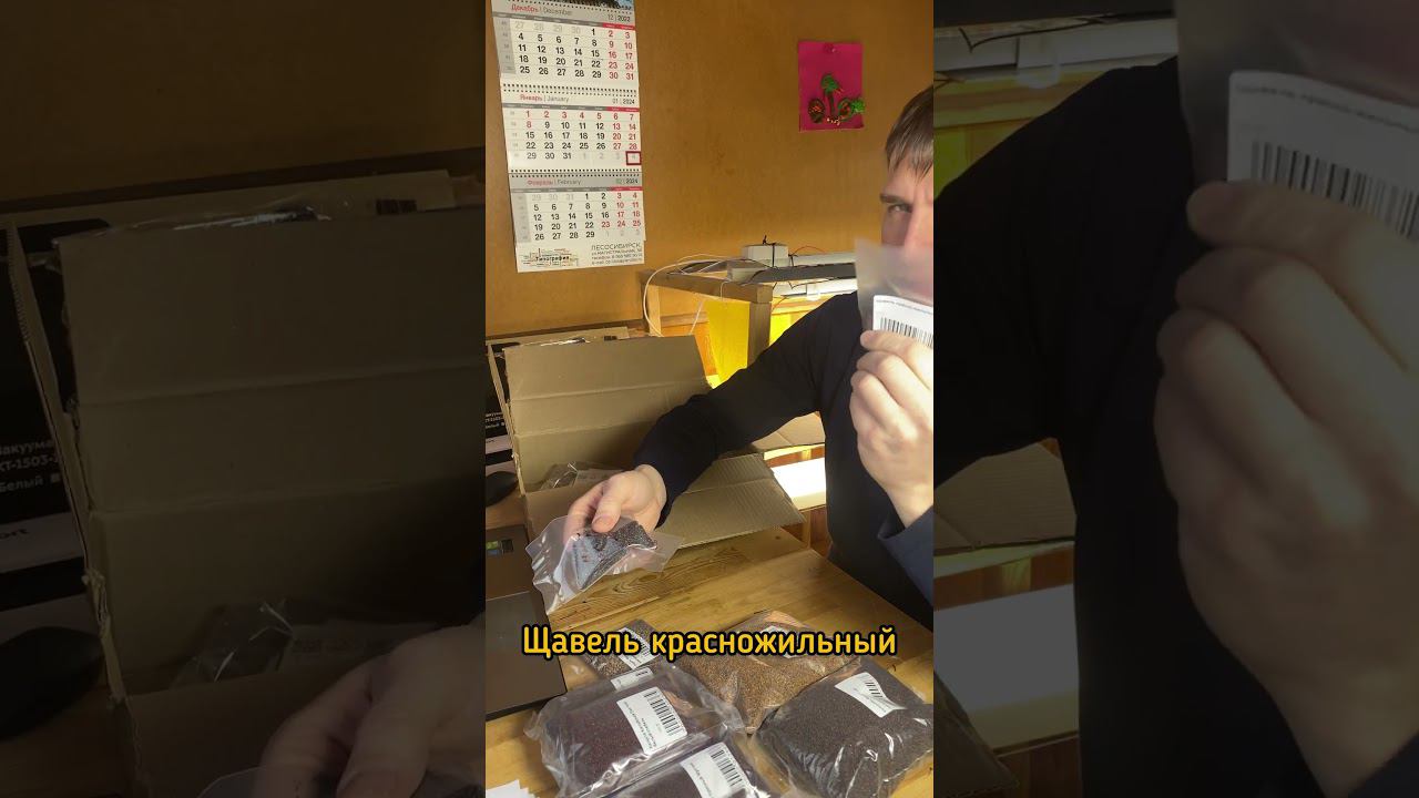 Подготовка к весне #микрозелень #огородкруглыйгод #огороднабалконе