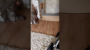 Олюшка научилась отлично жевать!