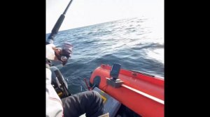 Летняя рыбалка на Белом море у Пертоминска. Треска. Зубатка. Навага #Рыболов_Севера