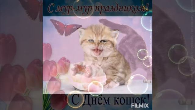 🤍🌺С 1 днем весны и международным днём котиков)🌸☀️ смотреть онлайн