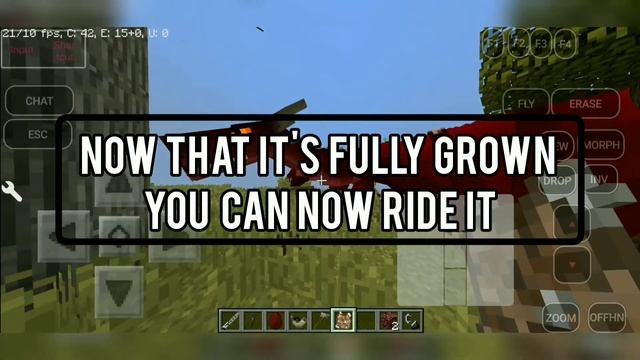 HOW TO TAME FIRE DRAGON - ICE AND FIRE MOD| MINECRAFT JAVA EDITION ON ANDROID 1.12.2 смотреть онлайн