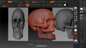 skull sculpting