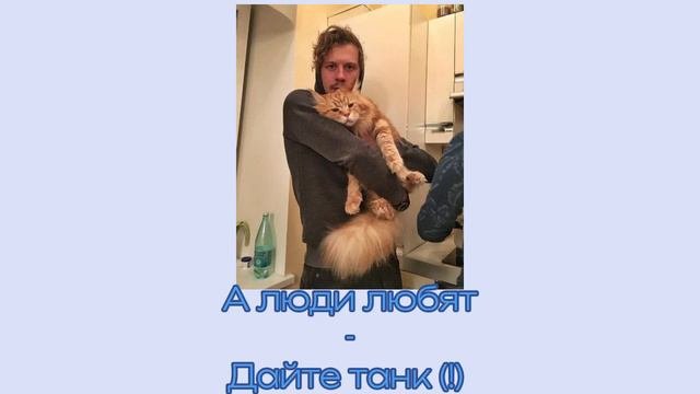 ~Тихон Жизневский~ плейлист     #ТихонЖизневский