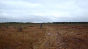 Мотособака Чинук по болоту.