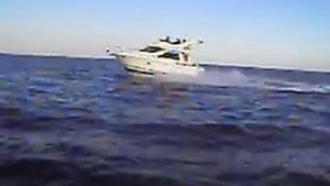 Bayliner 3258 flyby