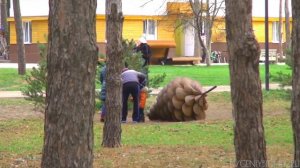 Воронеж Ноябрь 2013