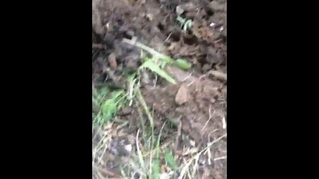 Выпуск 2 Найден клад черного металла смотреть онлайн