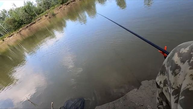 ЗАКИНУЛ поплавок в протоку... ОНО клюёт МАХОМ! Это язь? Рыбалка 2022 смотреть онлайн