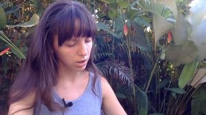 Фантомы. Кто такие фантомы. Опасен ли фантом для человека