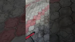 Видео-урок как выгнать собаку со двора