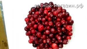 Клюква. Купить клюкву в Москве оптом.