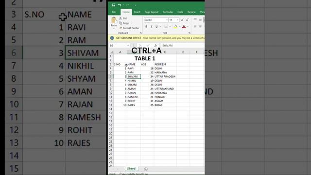 TABLE BORDER WITH SHORT CUT KEY//#excel //#excelshortcutkeys //#exceltricks //#exceltutorial