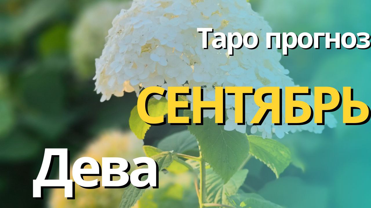 ДЕВА СЕНТЯБРЬ 2023 [Таро прогноз]