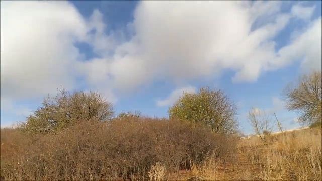 Охота на фазана смотреть онлайн