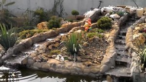 Альпийские горки и рокарии на вашем участке.