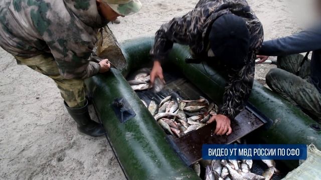В Новосибирске сотрудниками речной полиции пресечена незаконная добыча водных биоресурсов