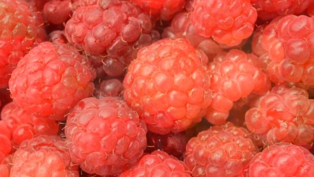 Что вы не знали о малине смотреть онлайн