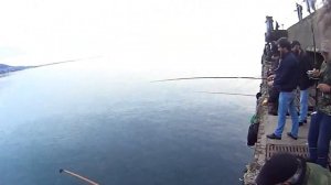 Ловля кефали(чуларки), Абхазия (Гагра)??