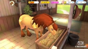 Показываю своих лошадей в Horse Haven!