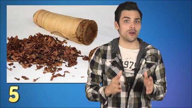 10 ИНТЕРЕСНЫХ ФАКТОВ ПРО ИНДЕЙЦЕВ смотреть онлайн