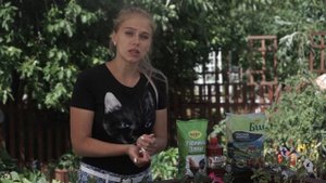 Вся правда о навозе ✔️ Для чего вам нужен навоз и какой выбрать ✔️