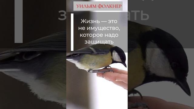 Жизнь это не имущество