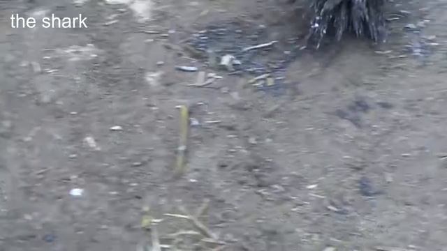 ГДЕ МОЖНО ПРИМЕНИТЬ МАГНИТ. смотреть онлайн