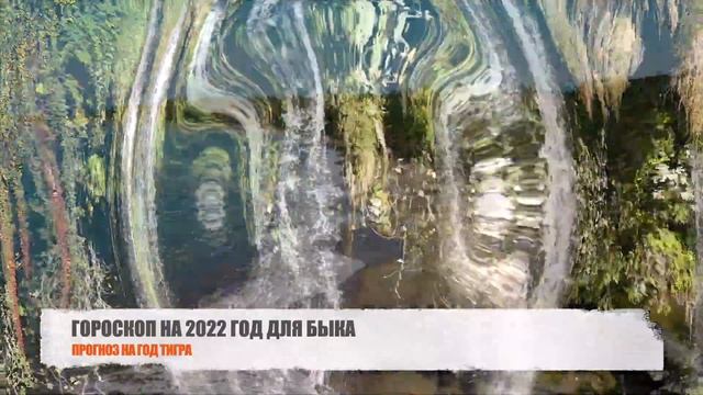 Что ждет Быка в 2022 году - гороскоп на год Черного Водяного Тигра смотреть онлайн